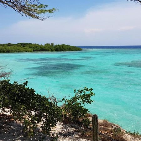 Palmhouse Apartments Aruba 1- 4 Persons Savaneta エクステリア 写真
