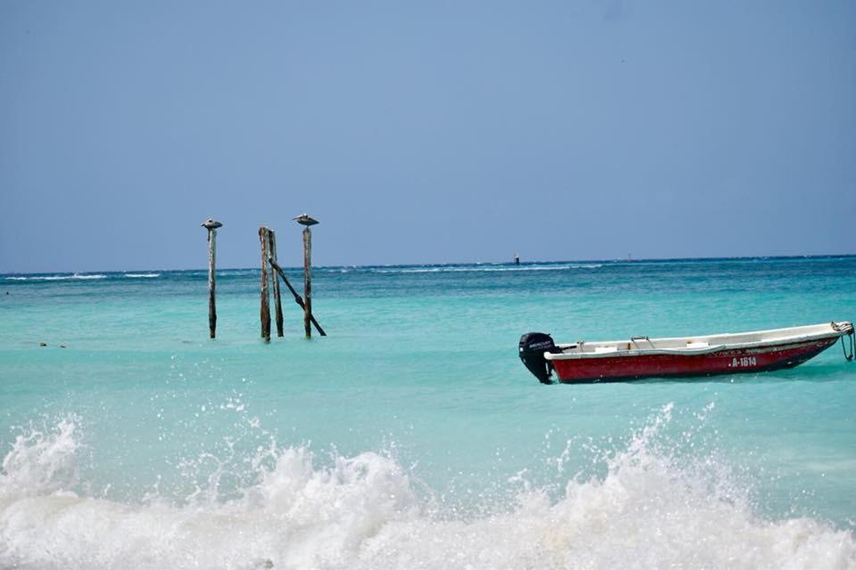 Palmhouse Apartments Aruba 1- 4 Persons Savaneta エクステリア 写真