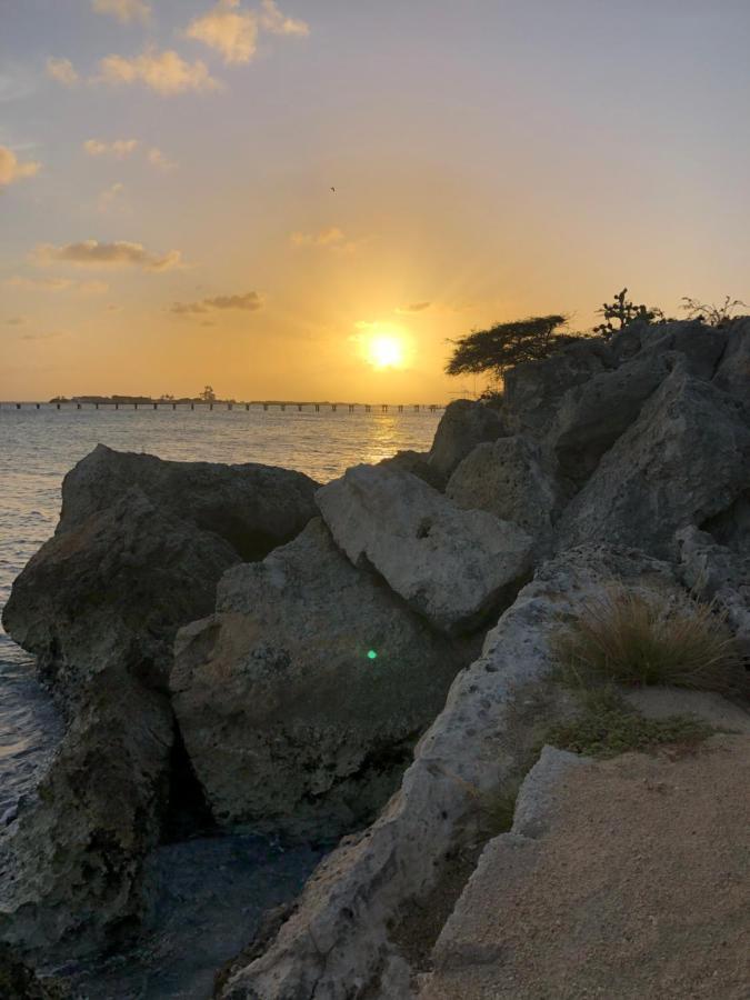 Palmhouse Apartments Aruba 1- 4 Persons Savaneta エクステリア 写真