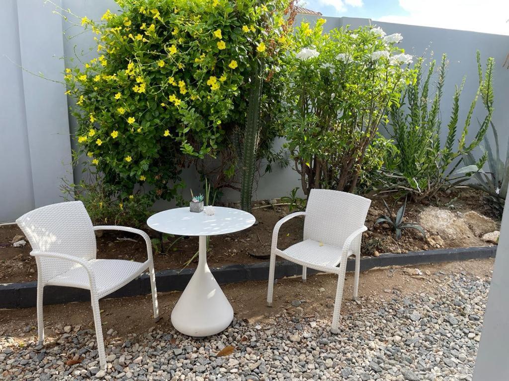 Palmhouse Apartments Aruba 1- 4 Persons Savaneta エクステリア 写真