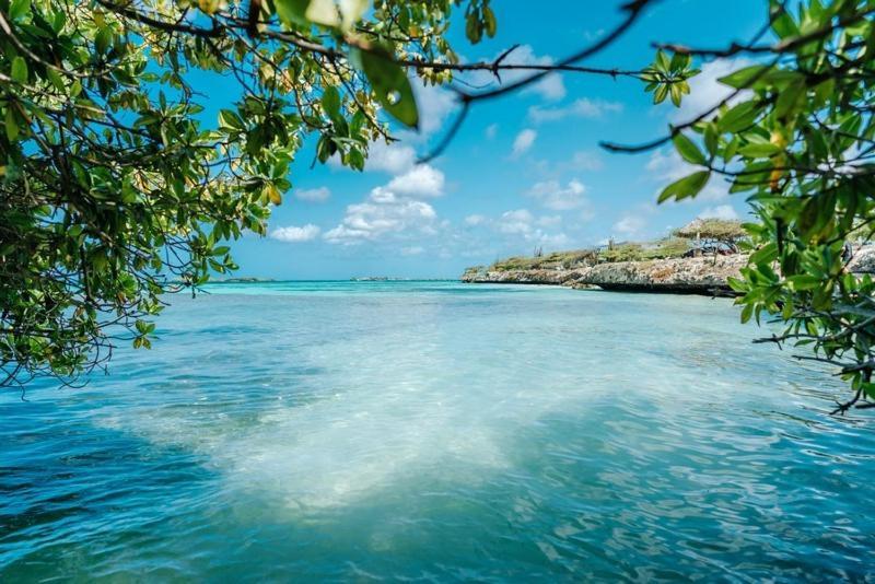 Palmhouse Apartments Aruba 1- 4 Persons Savaneta エクステリア 写真