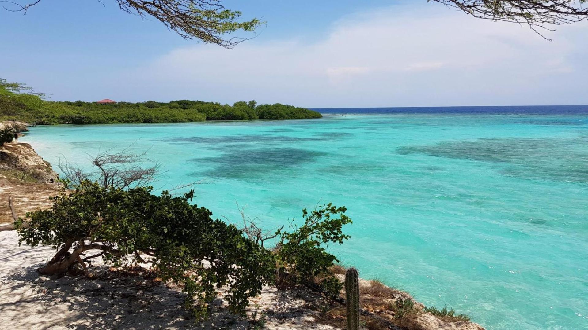 Palmhouse Apartments Aruba 1- 4 Persons Savaneta エクステリア 写真