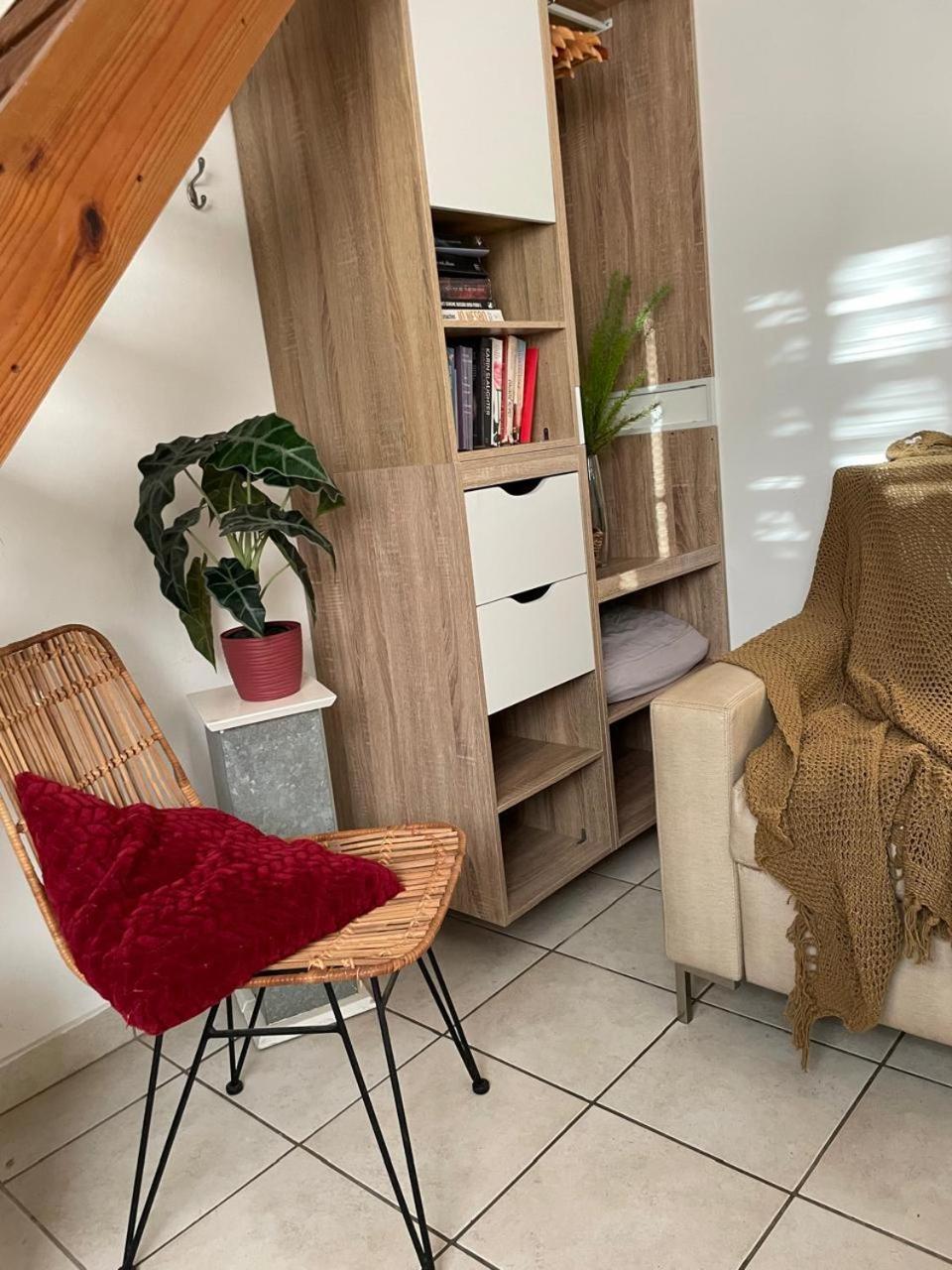 Palmhouse Apartments Aruba 1- 4 Persons Savaneta エクステリア 写真