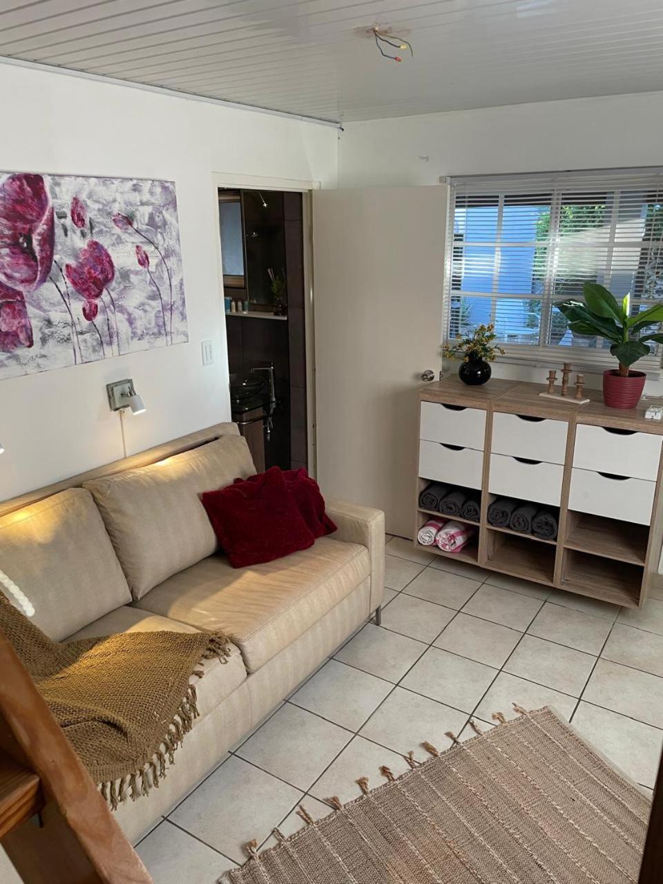 Palmhouse Apartments Aruba 1- 4 Persons Savaneta エクステリア 写真