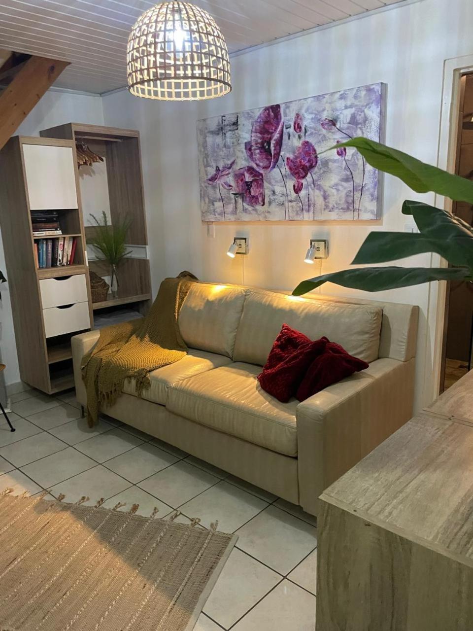 Palmhouse Apartments Aruba 1- 4 Persons Savaneta エクステリア 写真