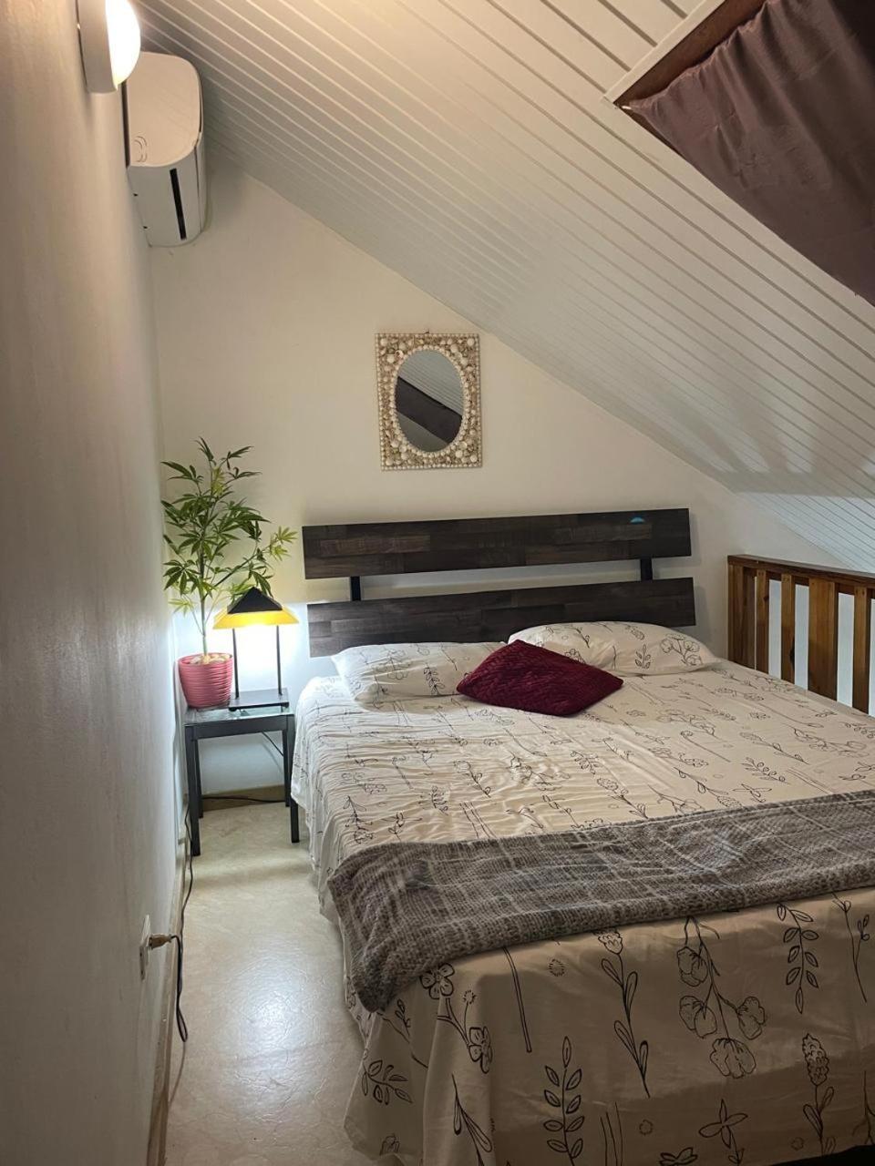 Palmhouse Apartments Aruba 1- 4 Persons Savaneta エクステリア 写真
