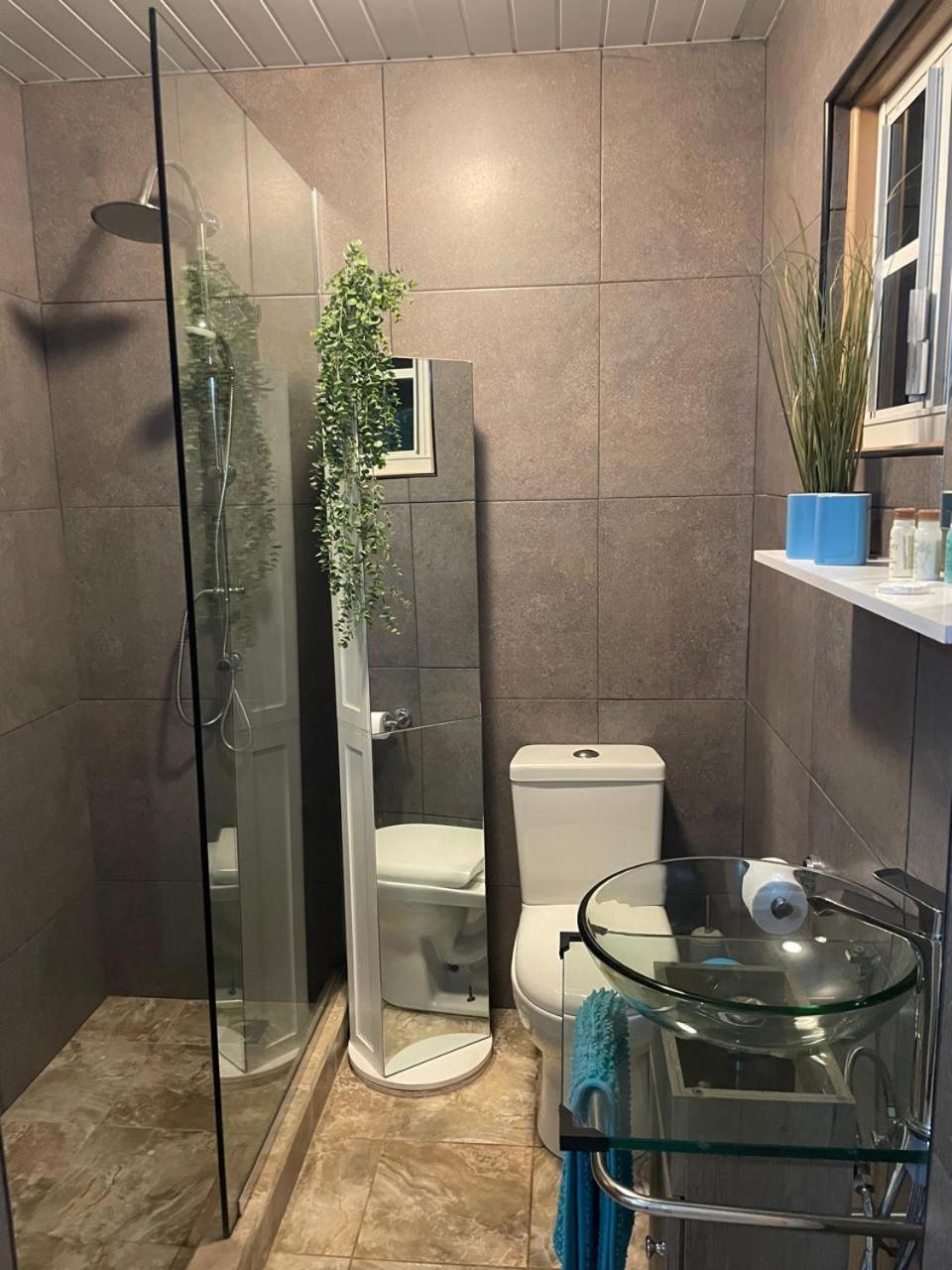 Palmhouse Apartments Aruba 1- 4 Persons Savaneta エクステリア 写真